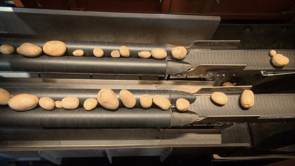 De aardappelen rollen op de draaiende rollen onder de camera's door zodat ze aan alle kanten kunnen worden bekeken en beoordeeld